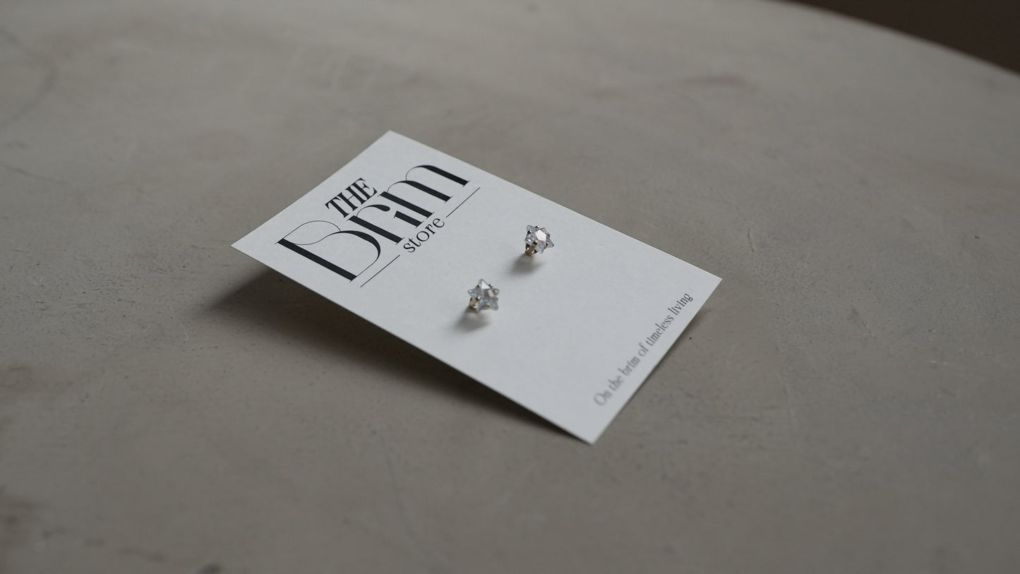 ミニスターピアス